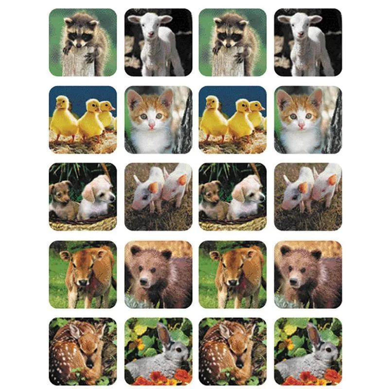 (12 Pk) Baby Animals Real Photos