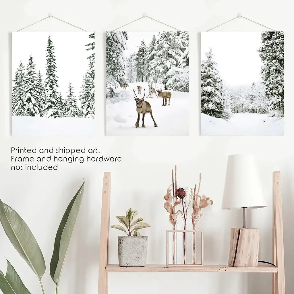 3 Piece Winter Landscape Wall Art. Snowy Pine Forest, Fawn