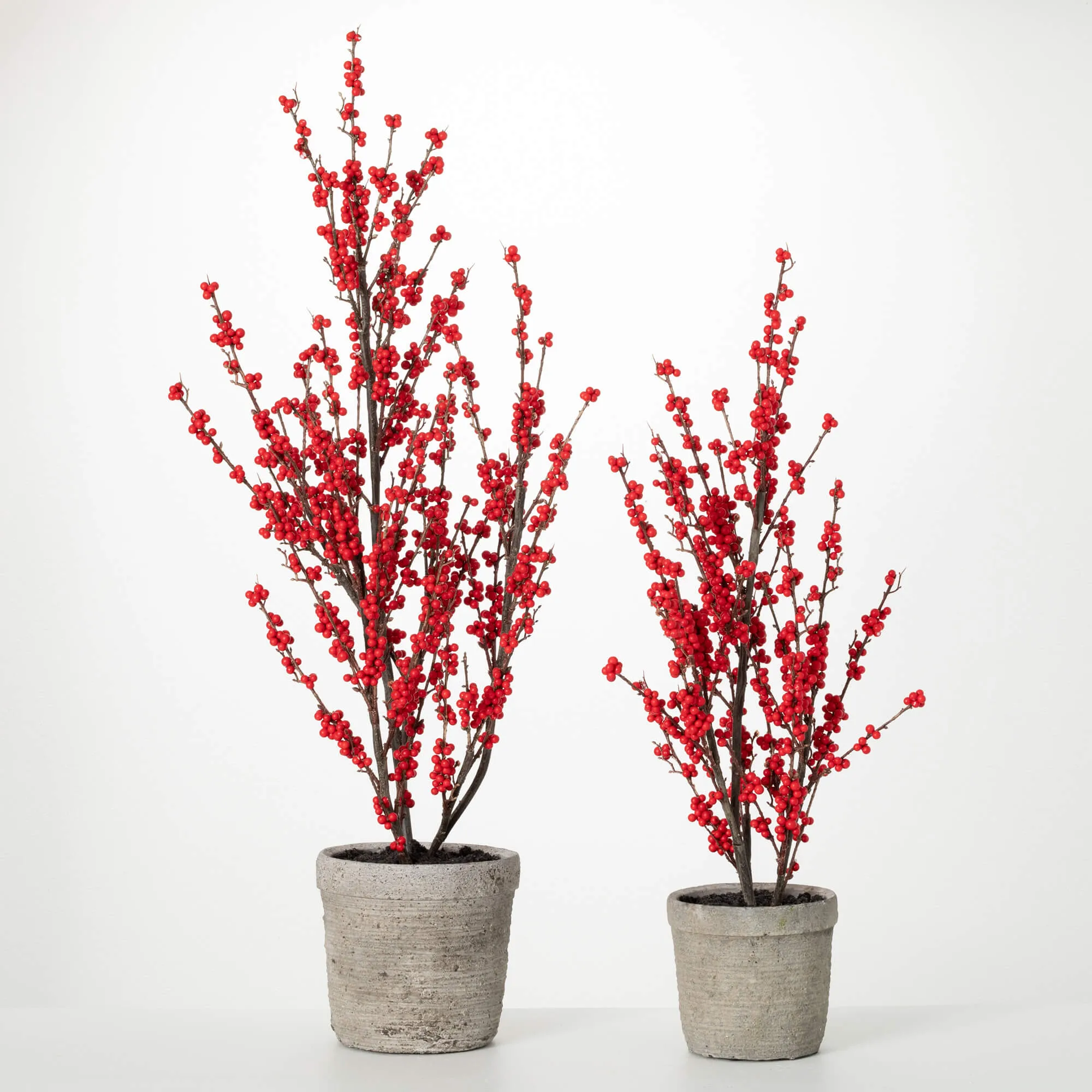 31"H and 38"H Sullivans Potted Red Berry Tree - Set of 2, Red