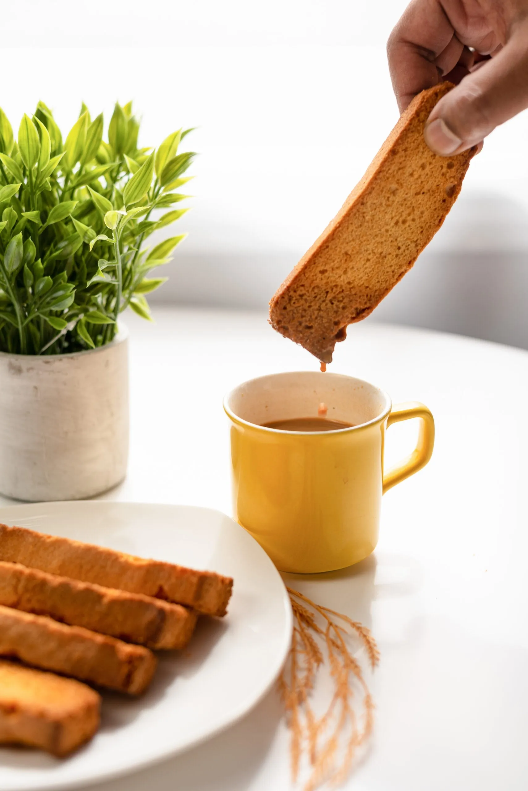 Almond Cake Rusk