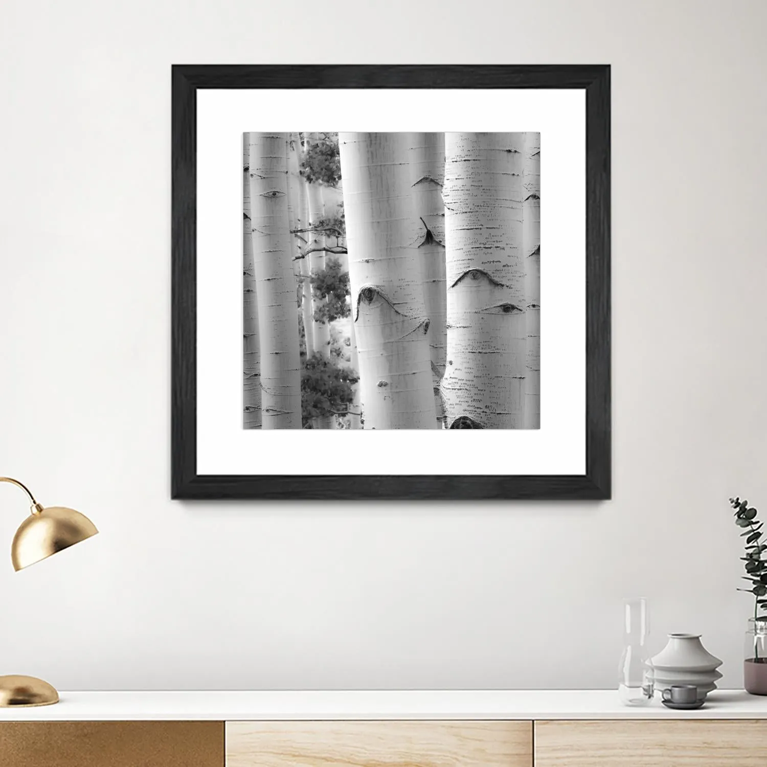 Birches in Grey I