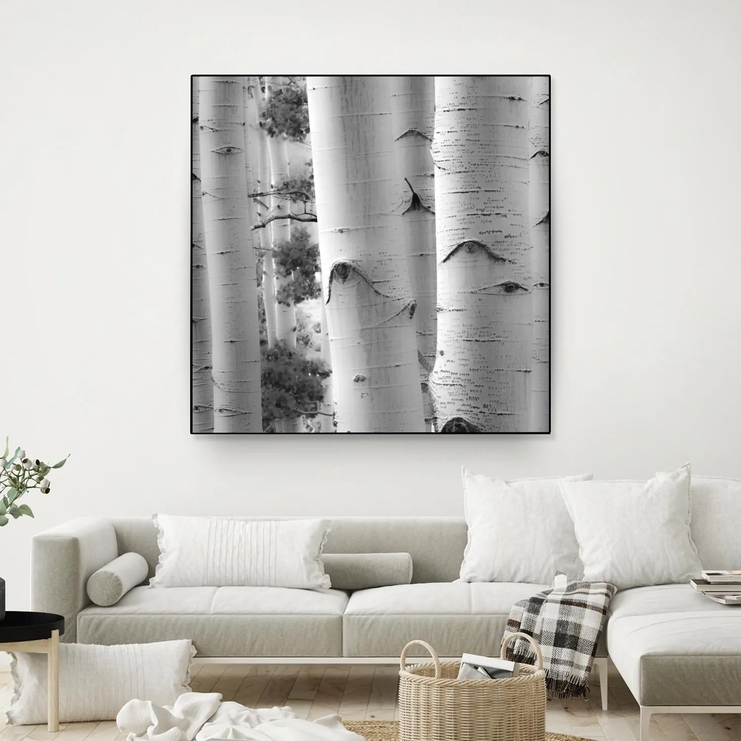 Birches in Grey I