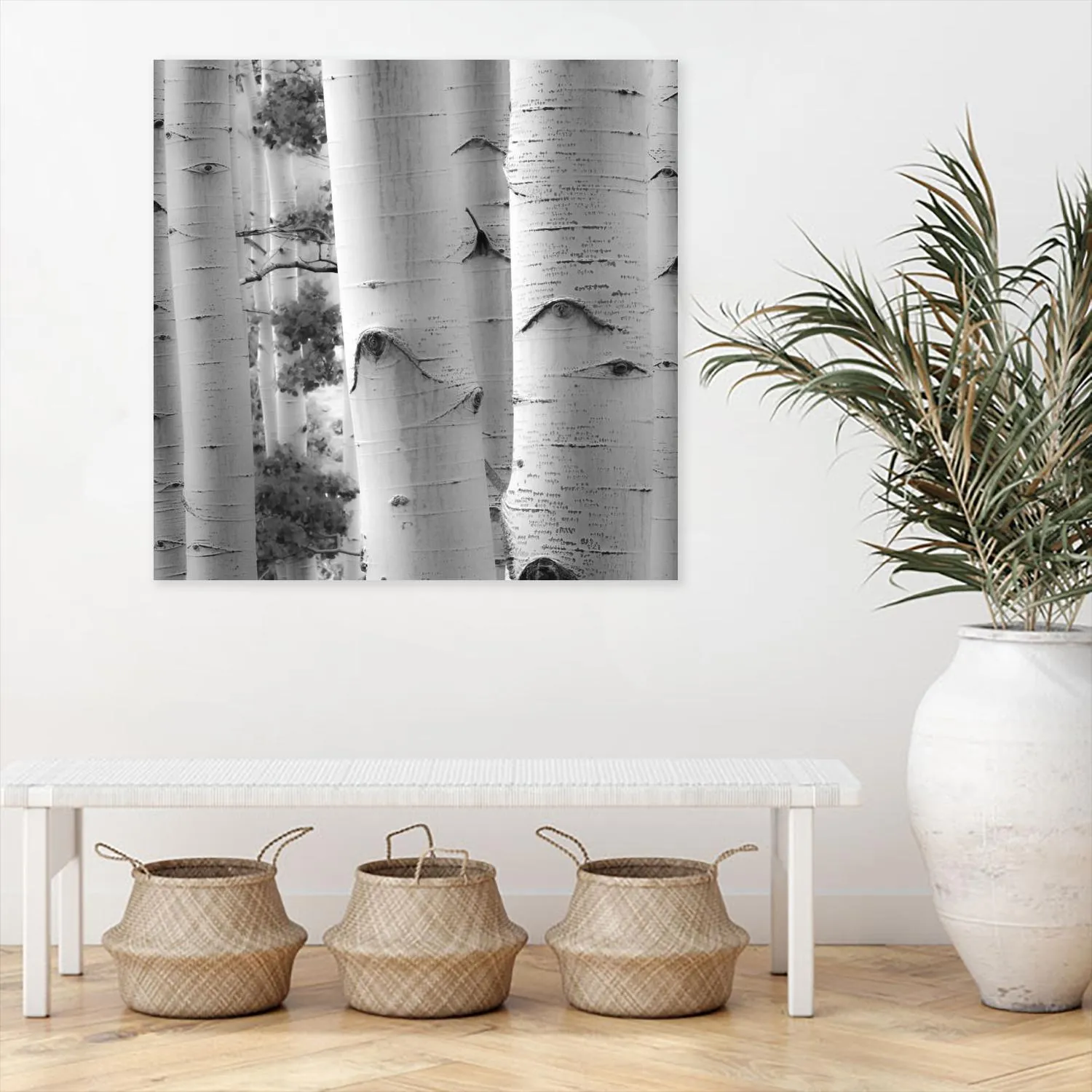 Birches in Grey I