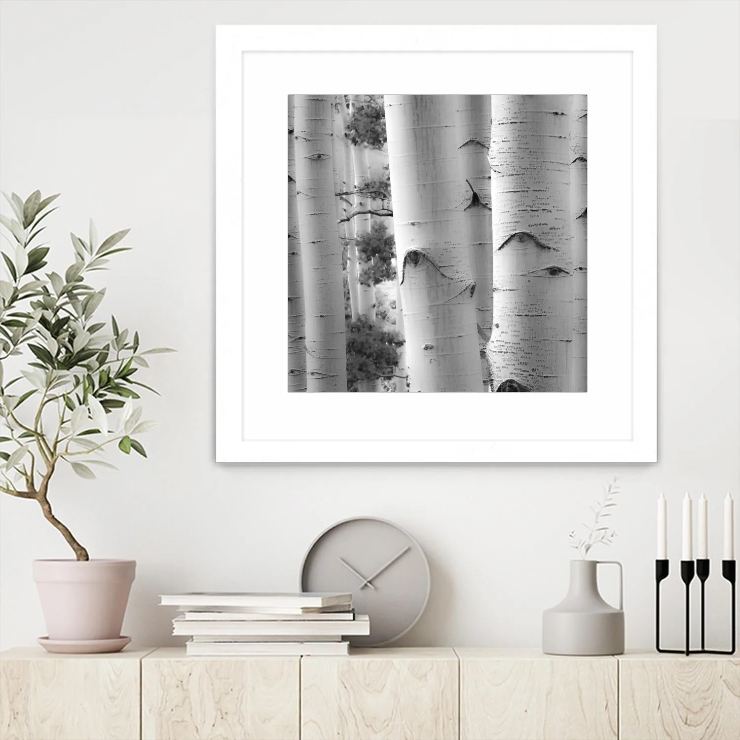 Birches in Grey I