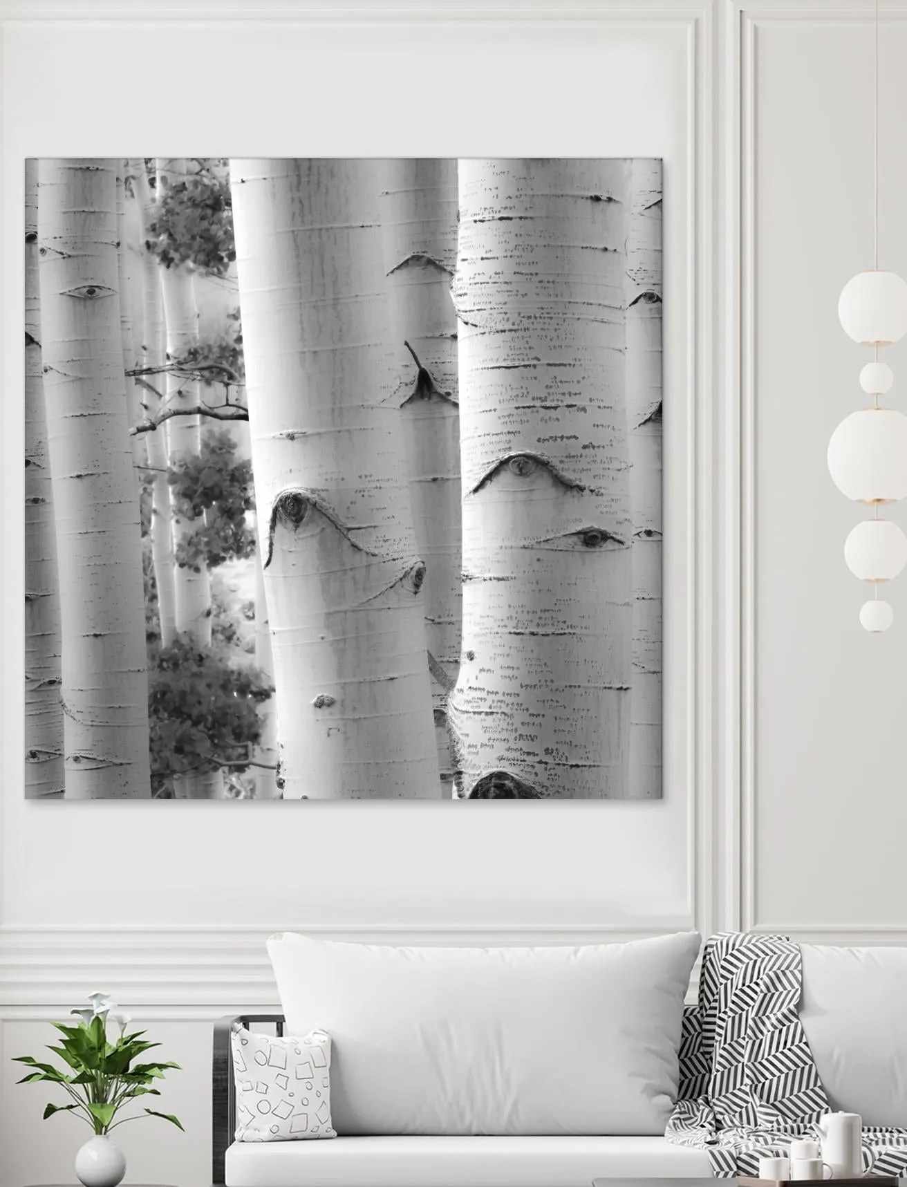 Birches in Grey I