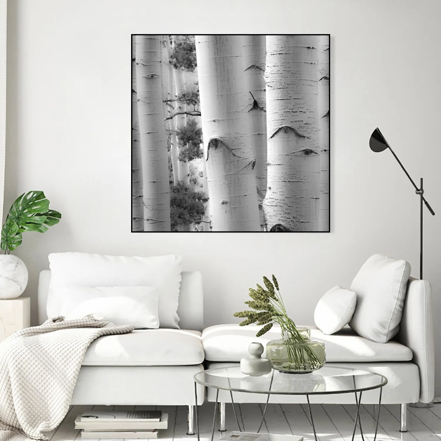 Birches in Grey I