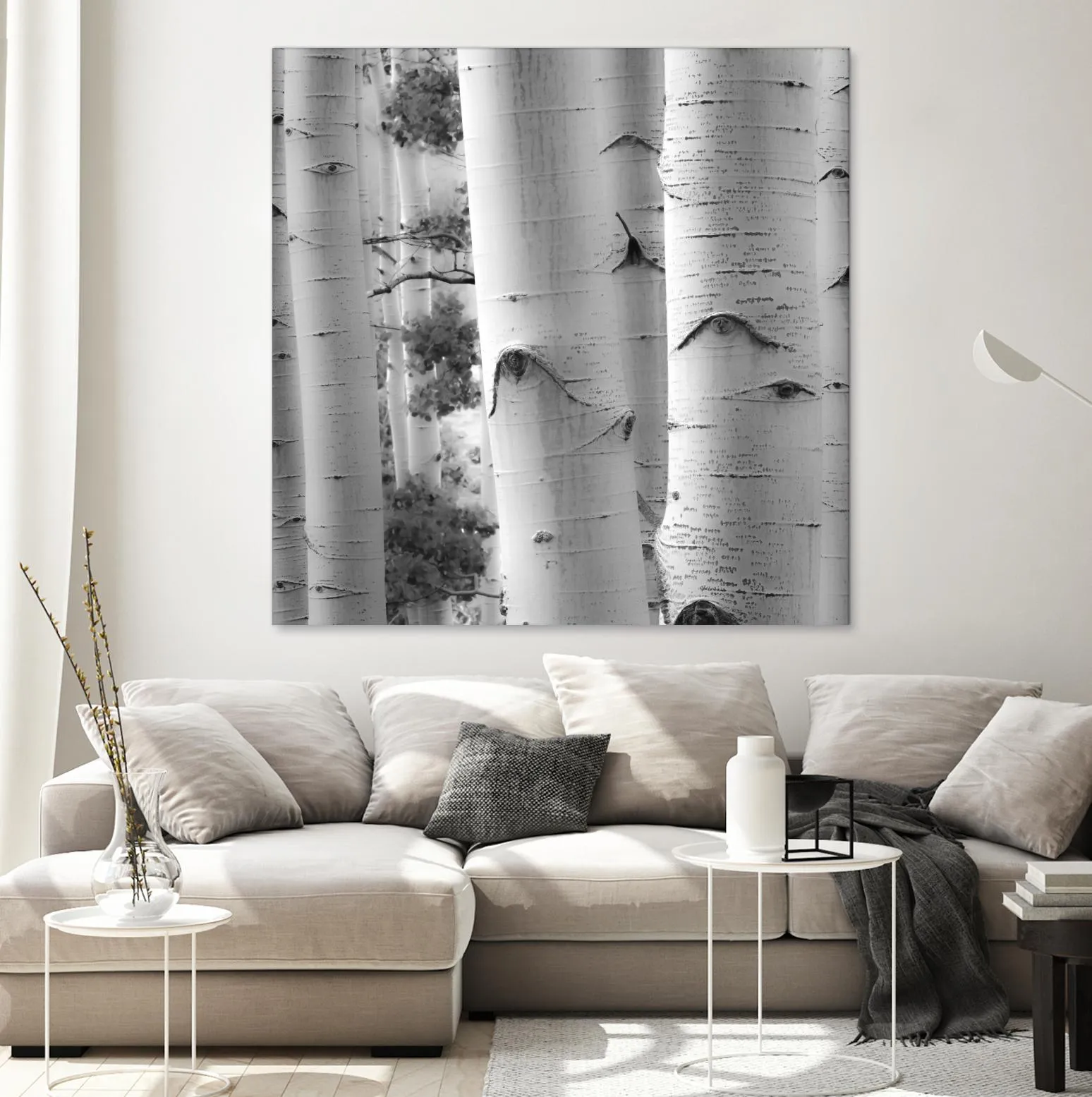 Birches in Grey I