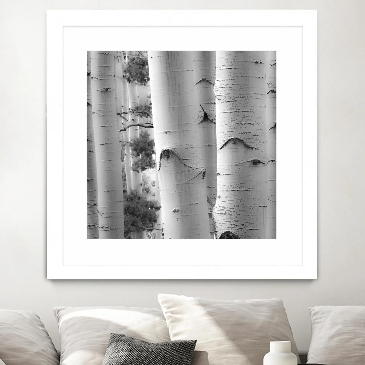 Birches in Grey I