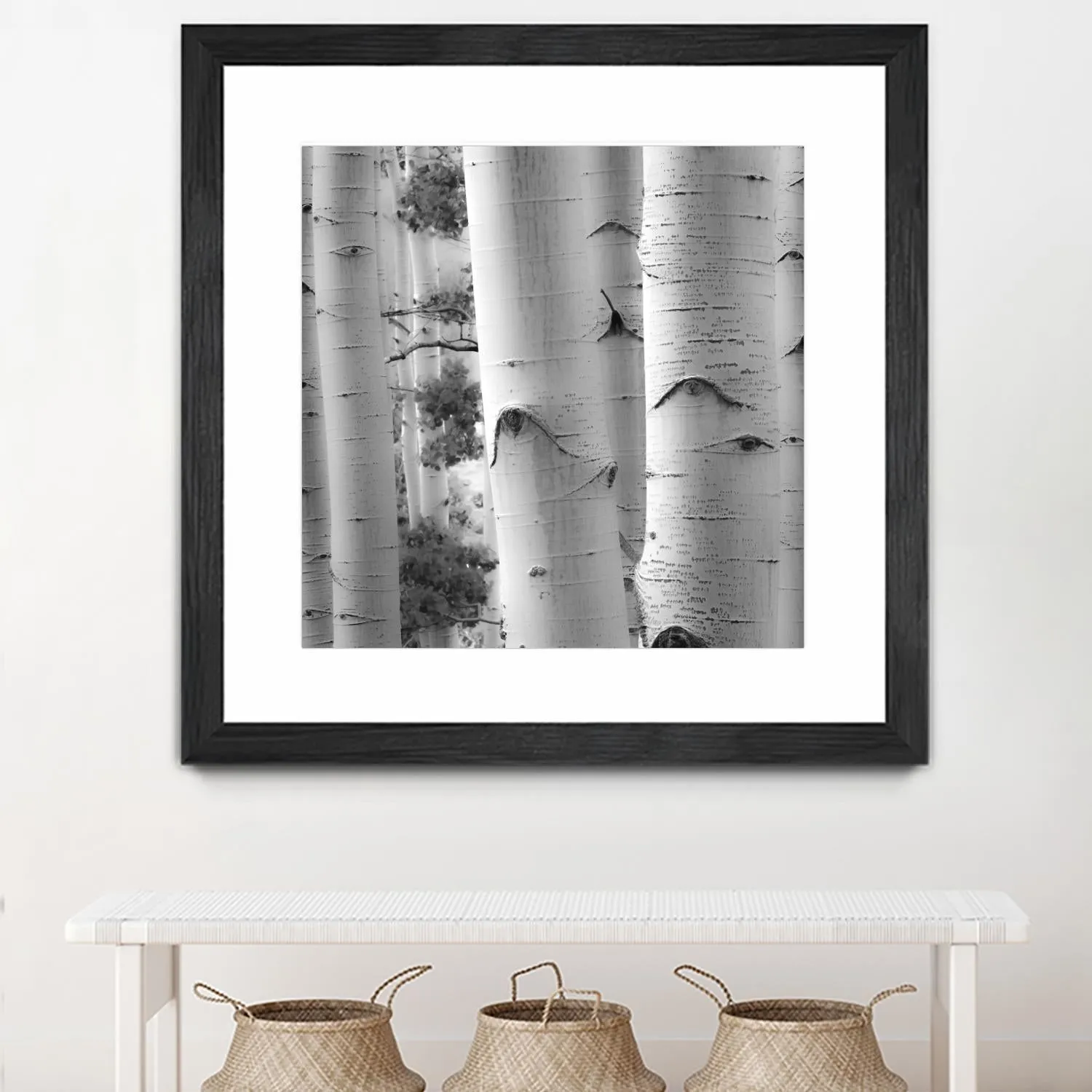 Birches in Grey I