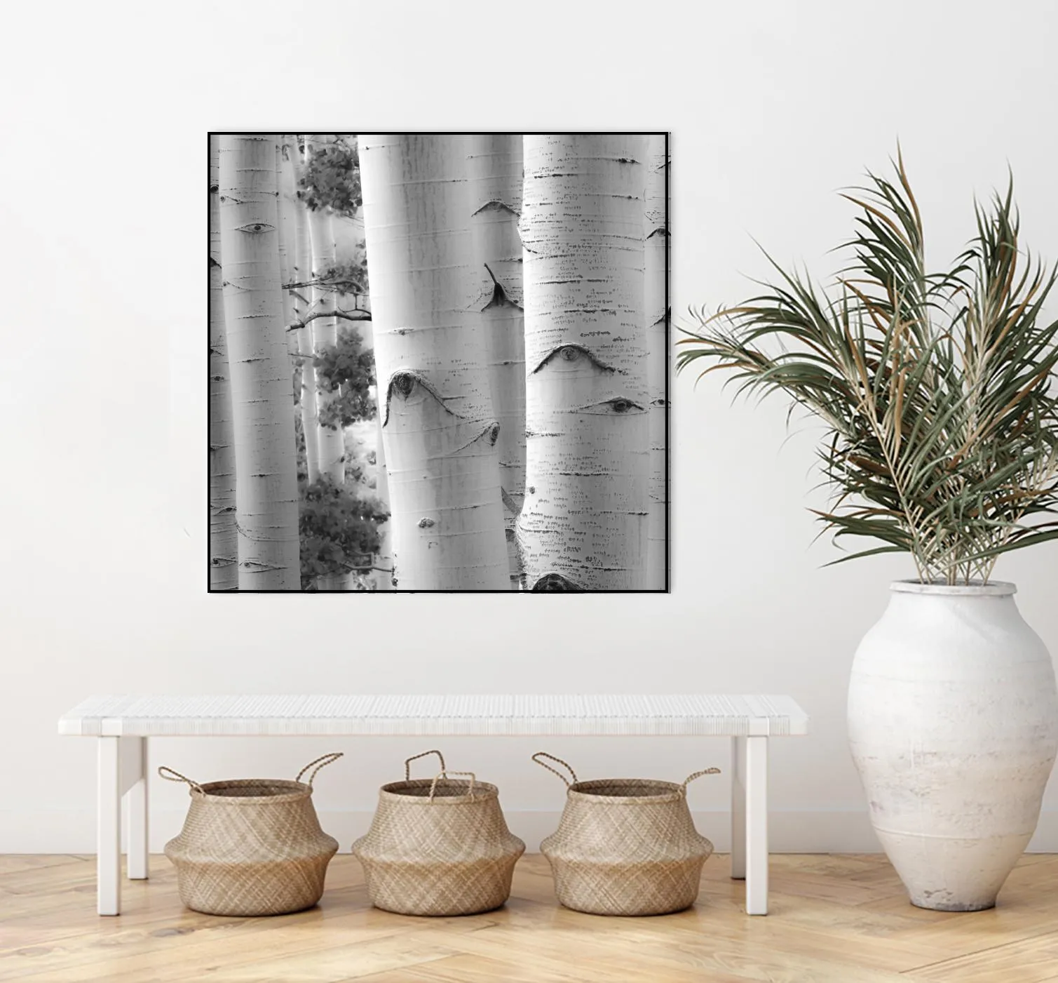 Birches in Grey I