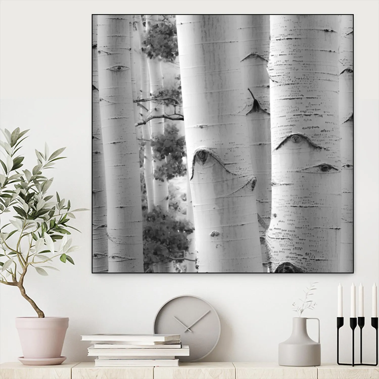 Birches in Grey I