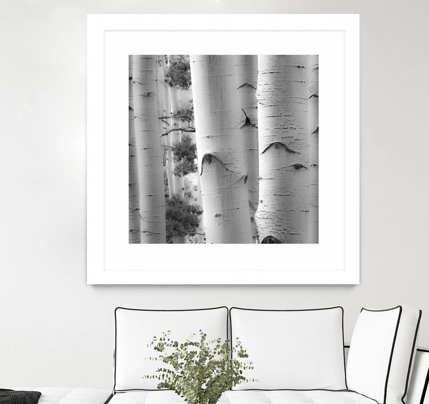 Birches in Grey I