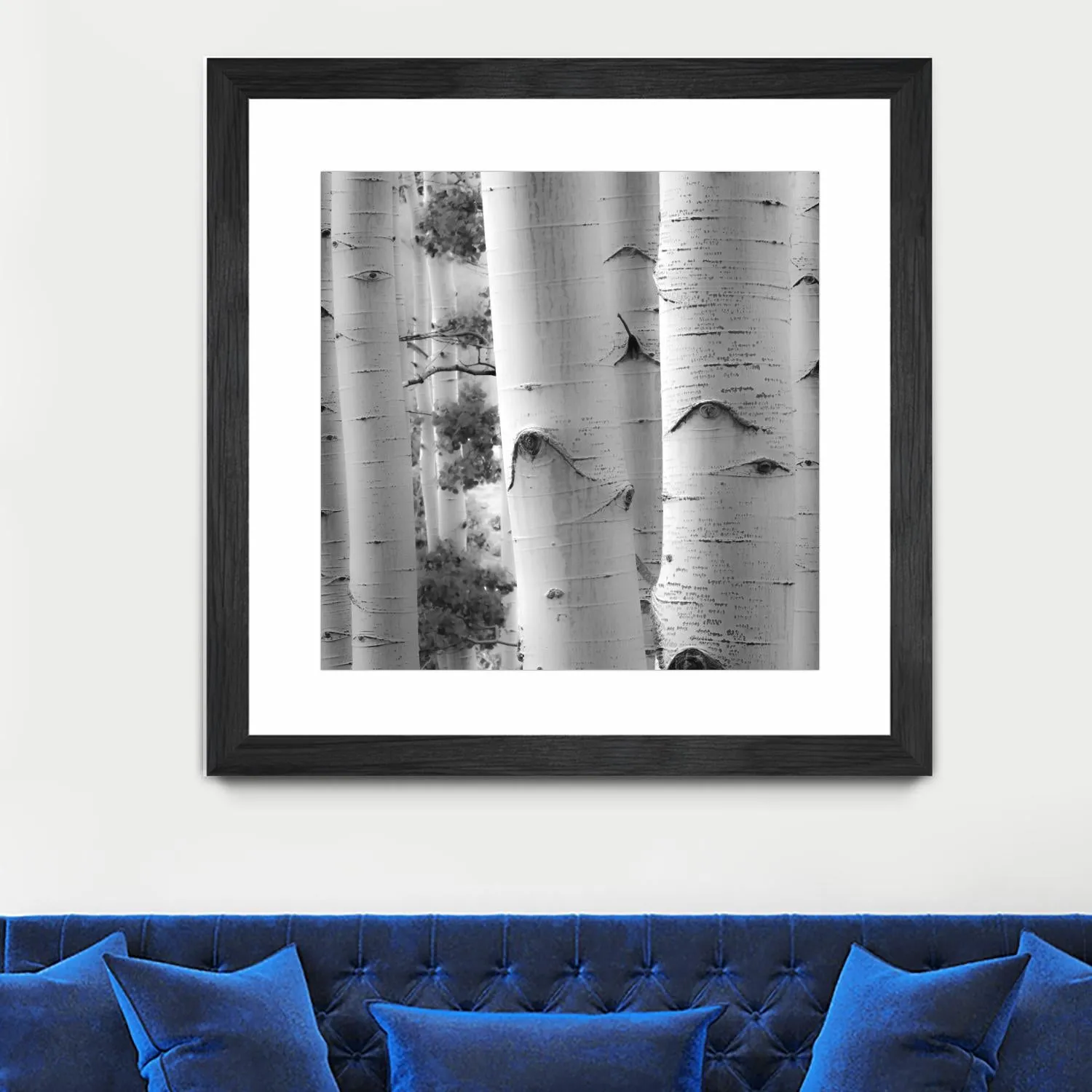 Birches in Grey I