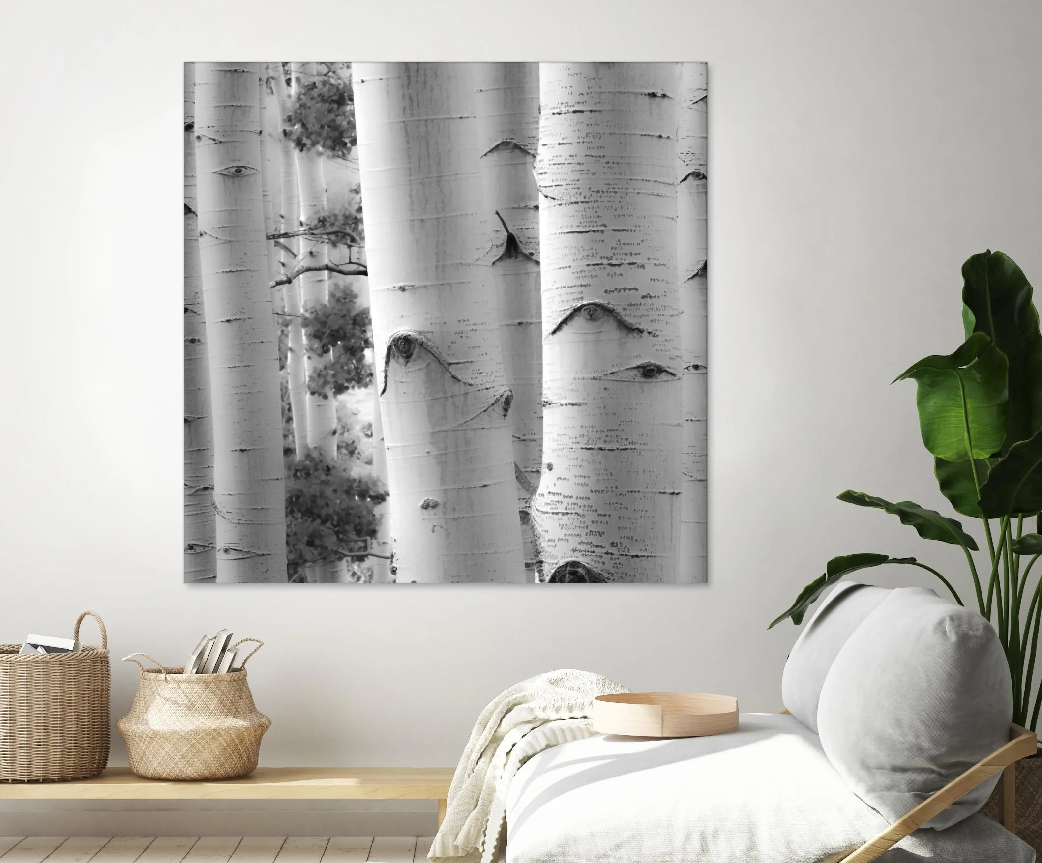 Birches in Grey I