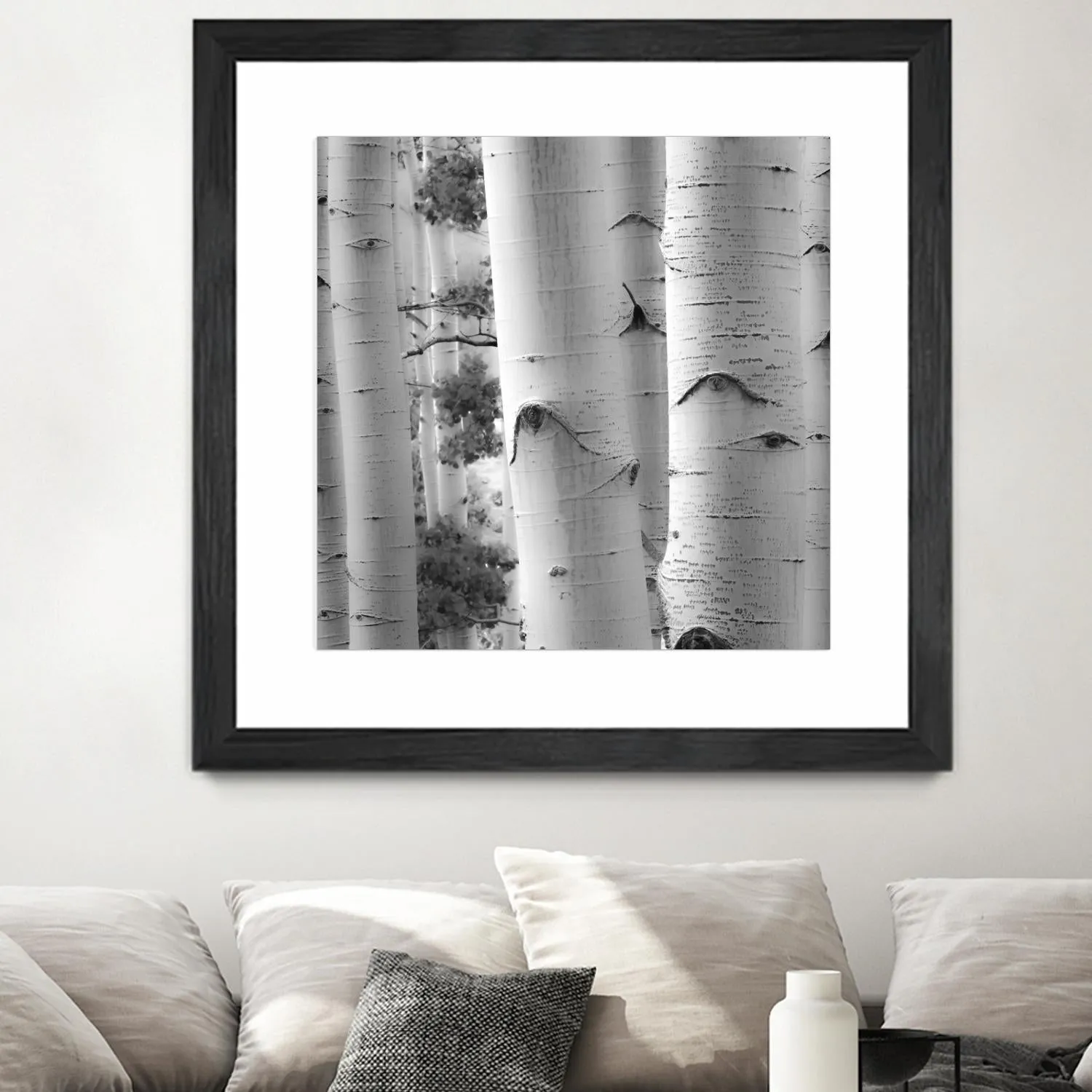 Birches in Grey I