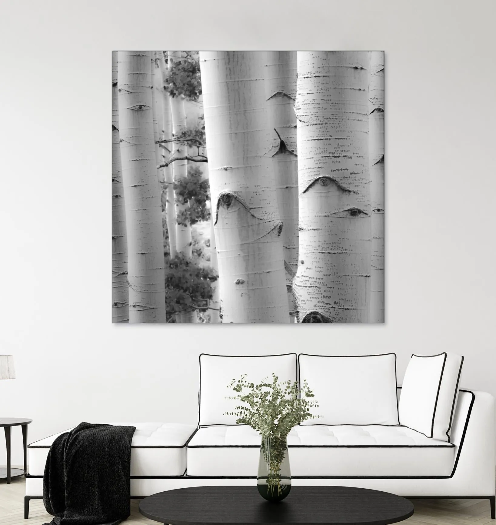 Birches in Grey I