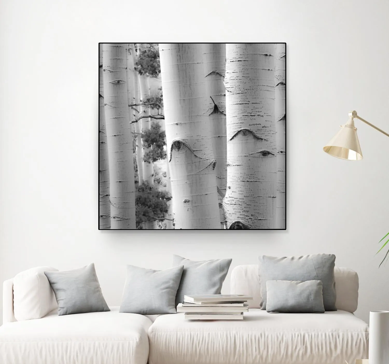 Birches in Grey I