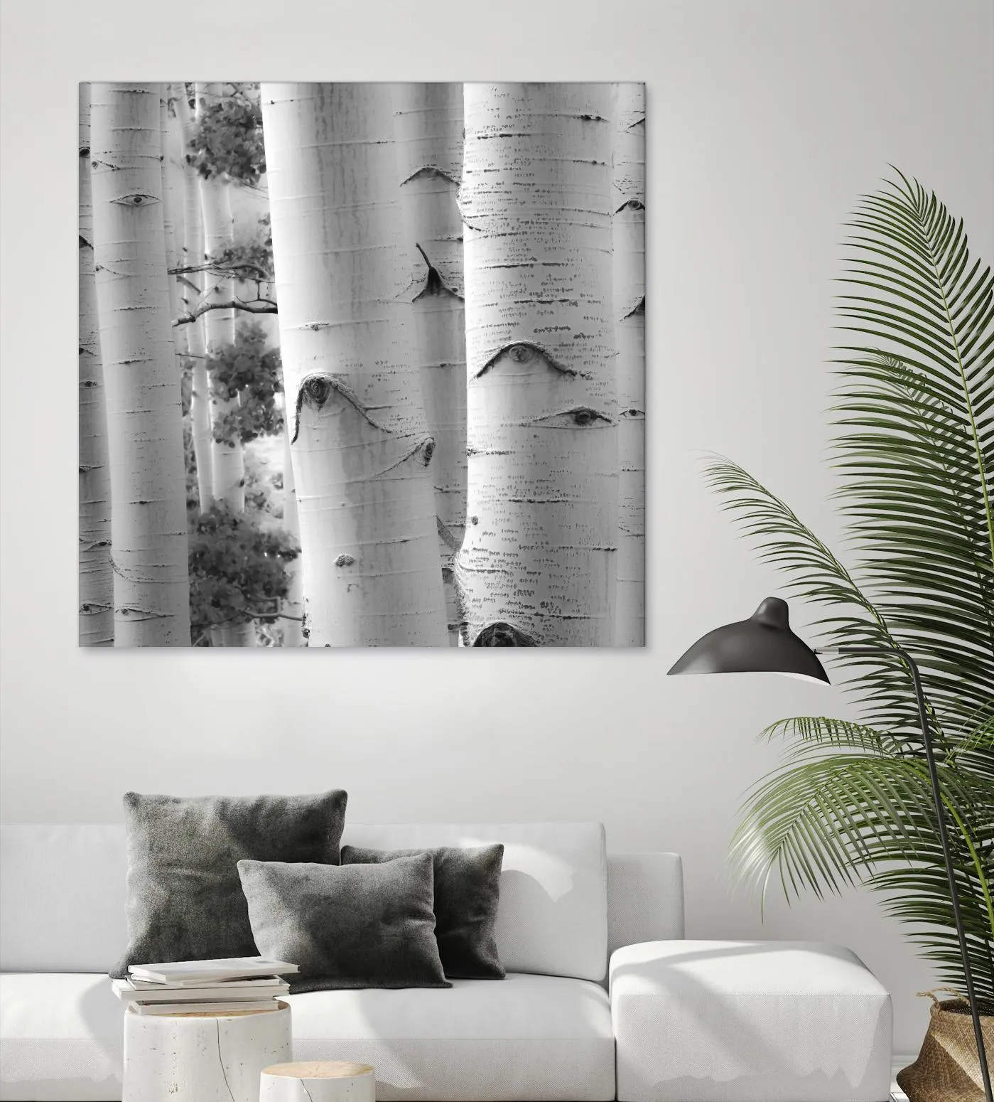 Birches in Grey I