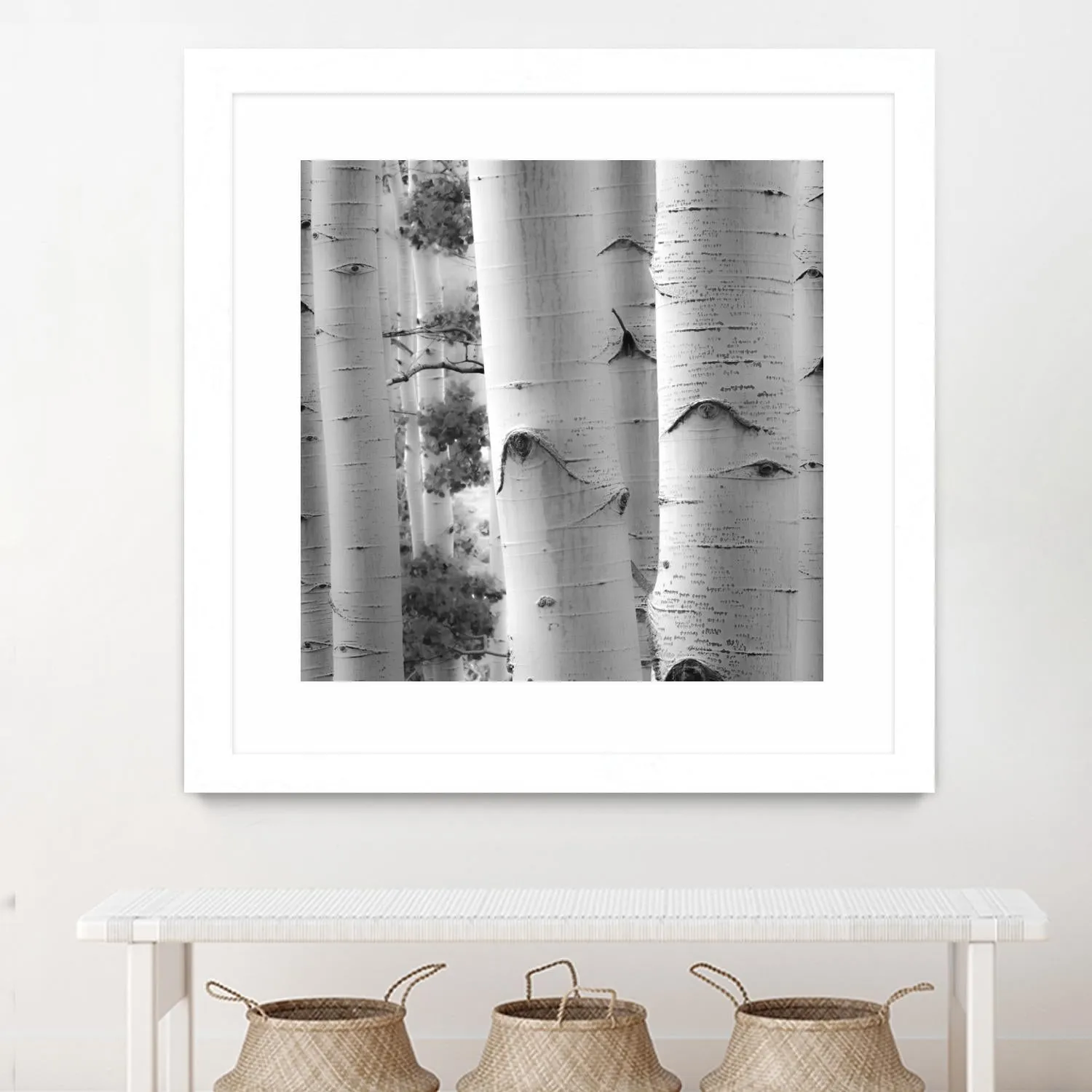 Birches in Grey I