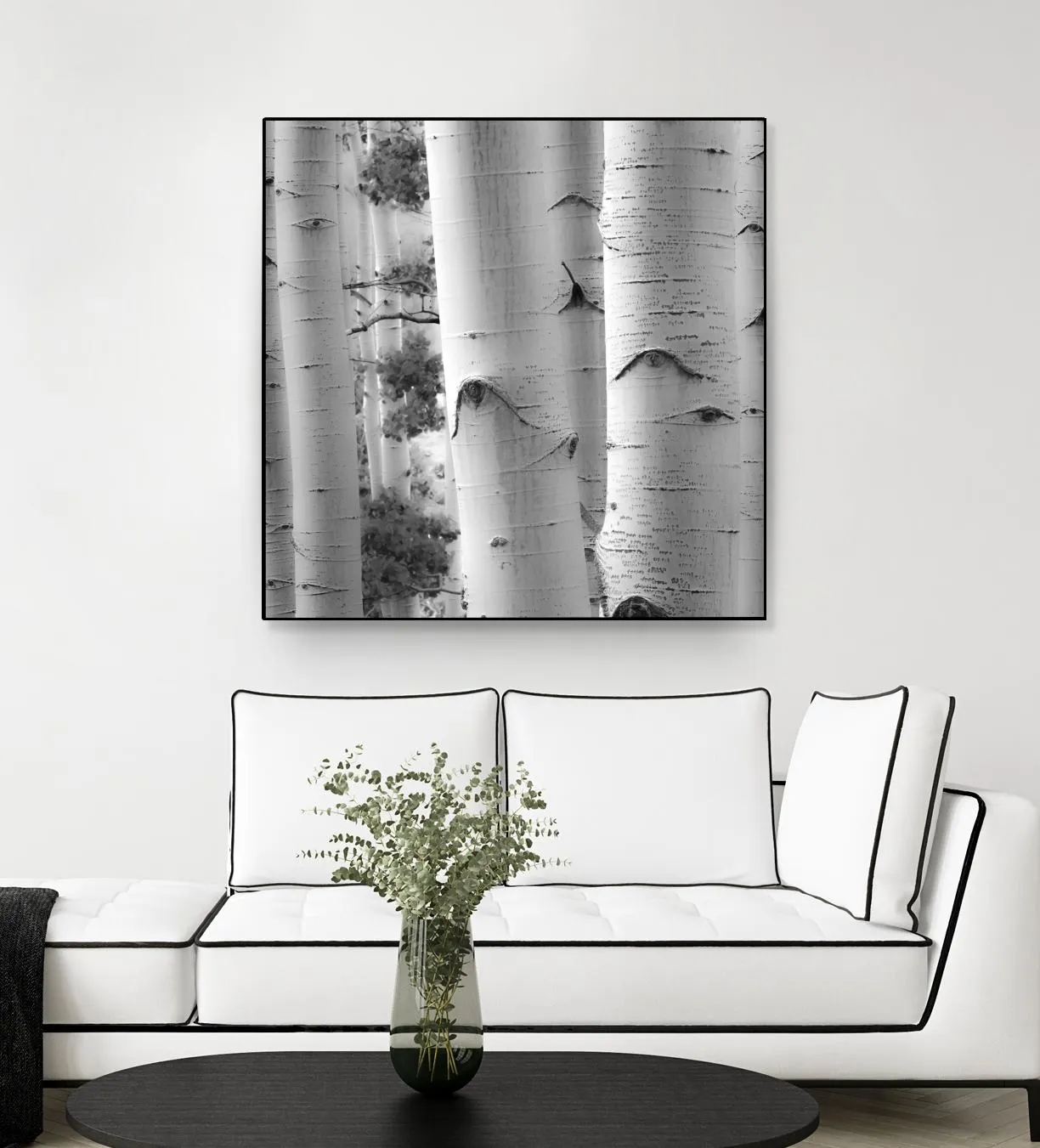 Birches in Grey I