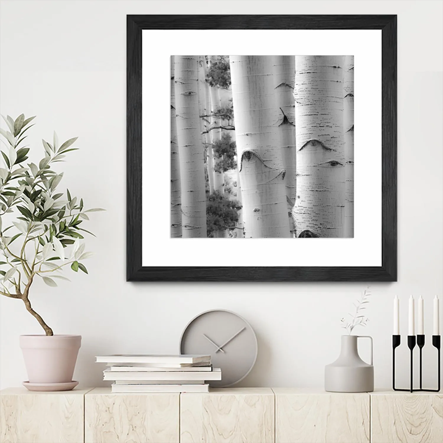 Birches in Grey I