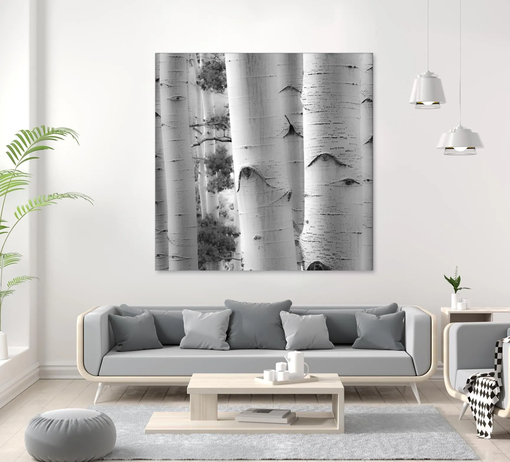 Birches in Grey I