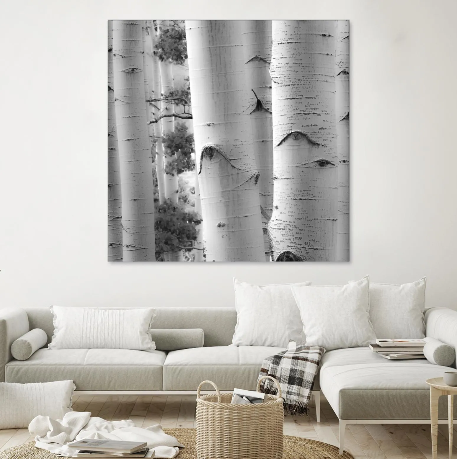 Birches in Grey I