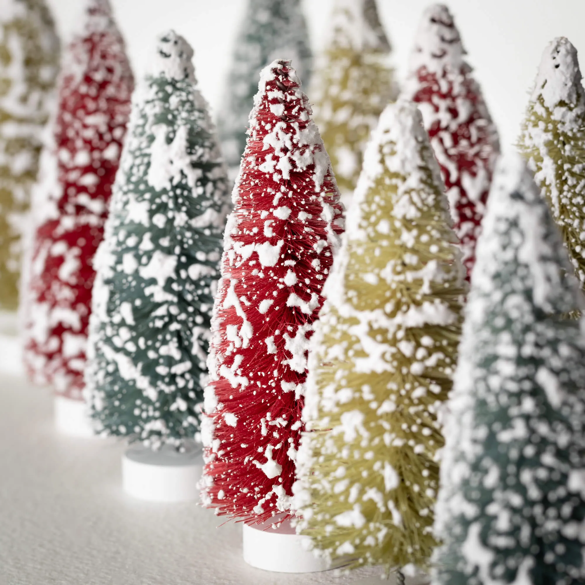 Bottle Brush Tree Set/12