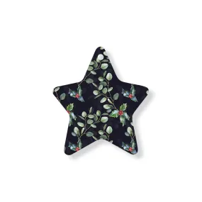 Christmas Decorations ENCHANTED XMAS- Wooden Xmas Star And Fridge Magnet