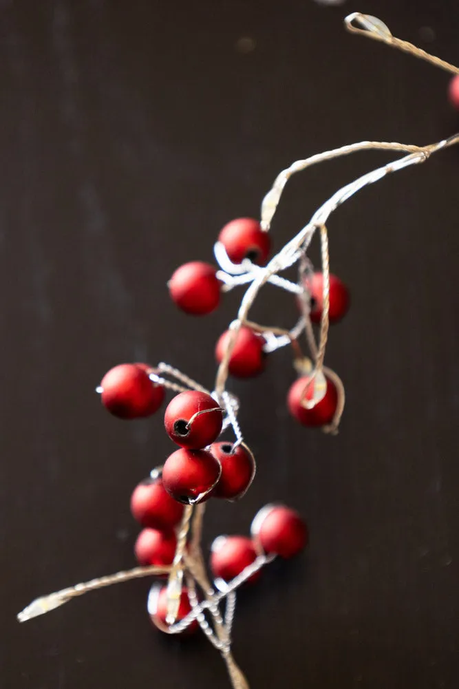 Christmas Red Berry Decorative Light Chain