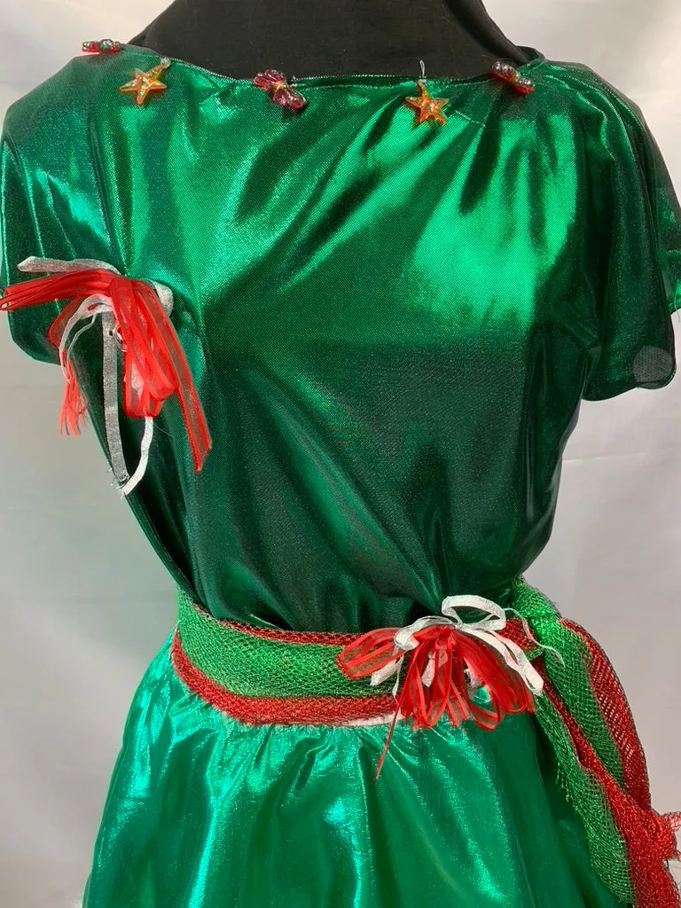 Elf Girl Holiday Costume Large Child