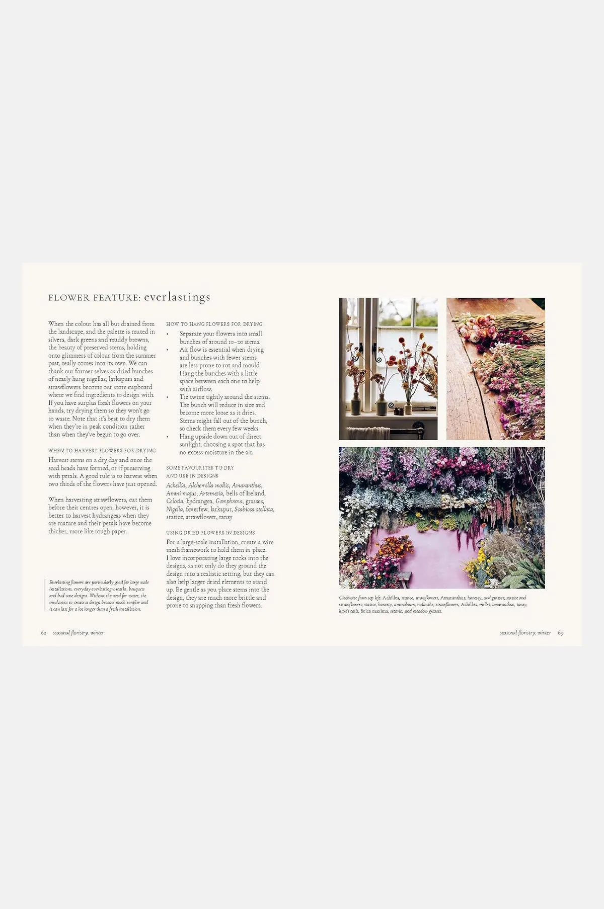 Floristry (The Growers Guide)