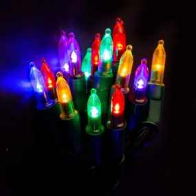 LED Retro Bulb Fairy Lights 300 Multicolor