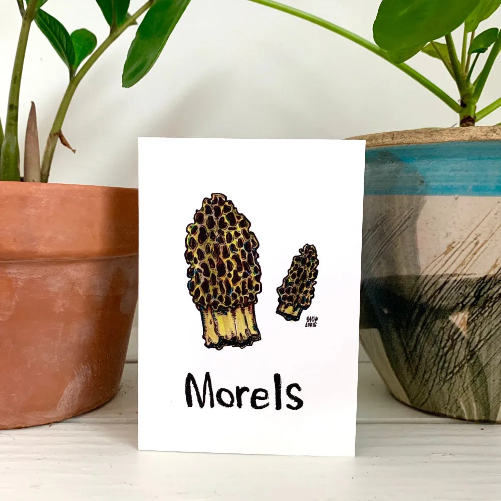 Morel Mushrooms Greeting Cards