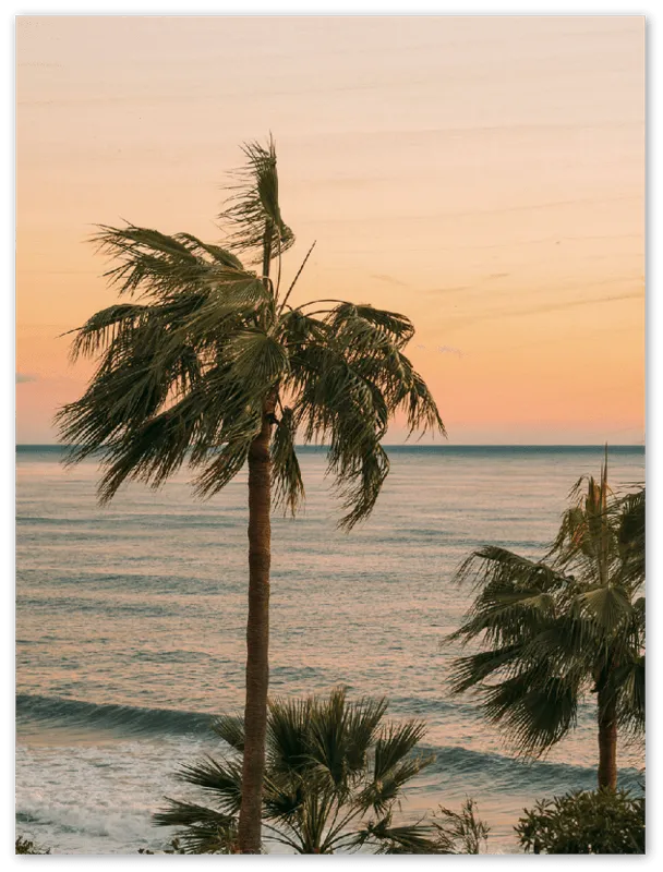 Ocean Palm Trees - Print