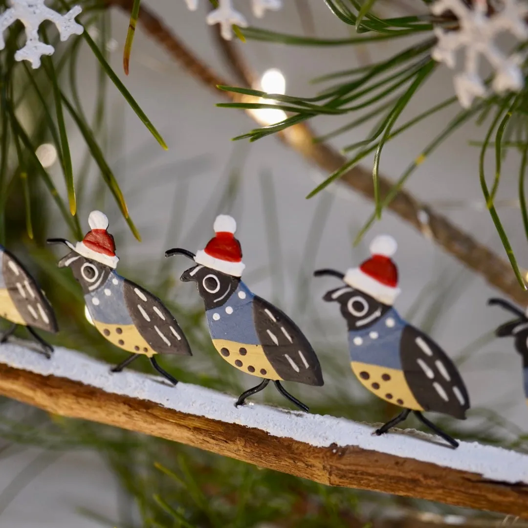 Quails on Christmas Day Walk