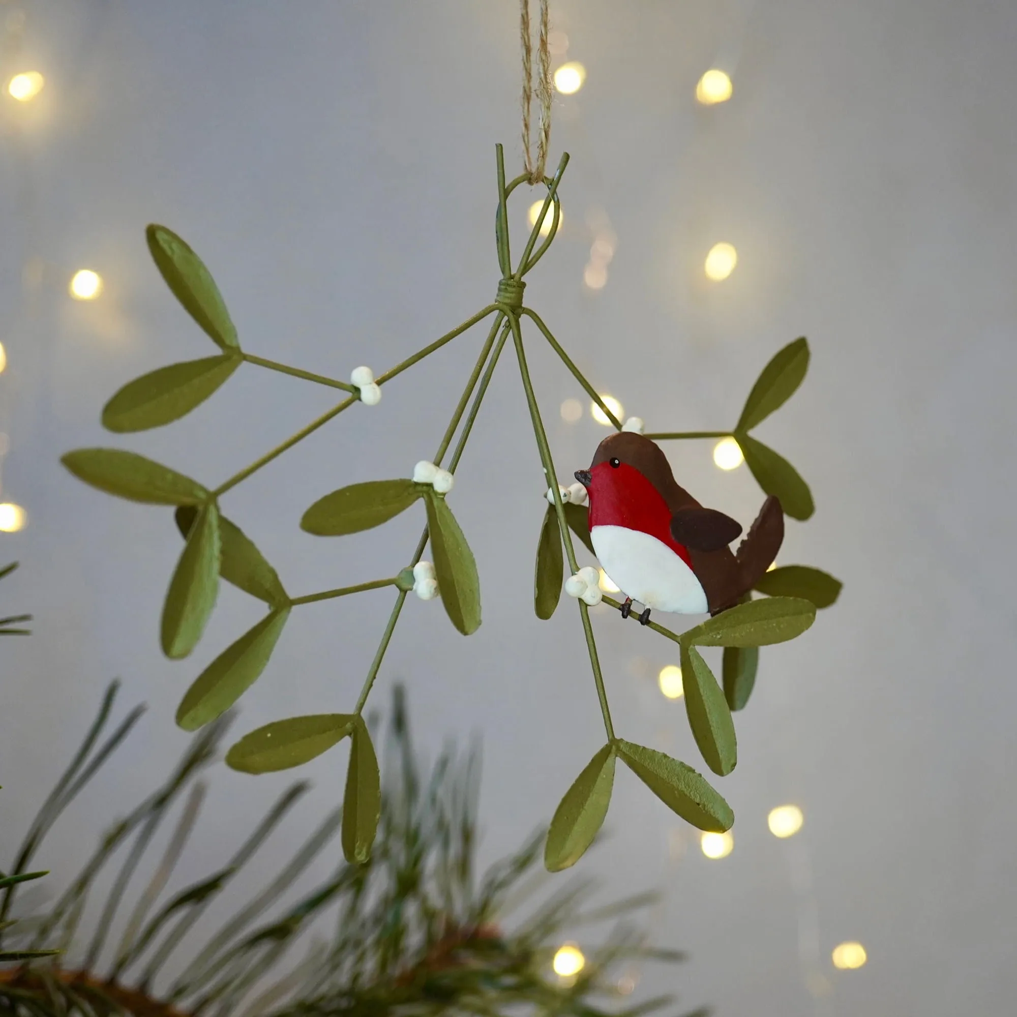 Robin on Mistletoe Sprigg