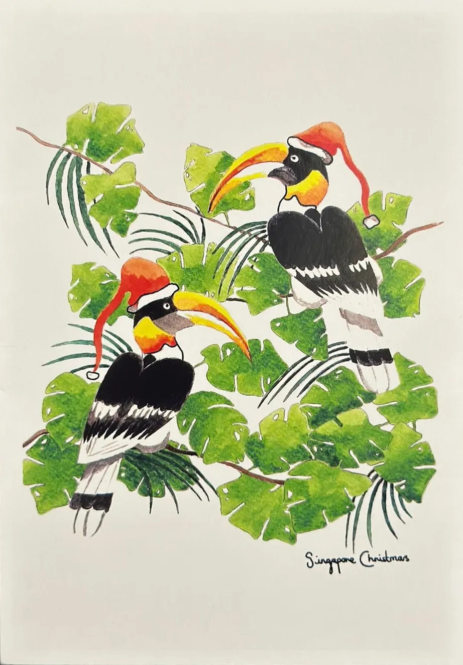 Set of 5 Hornbills Christmas cards