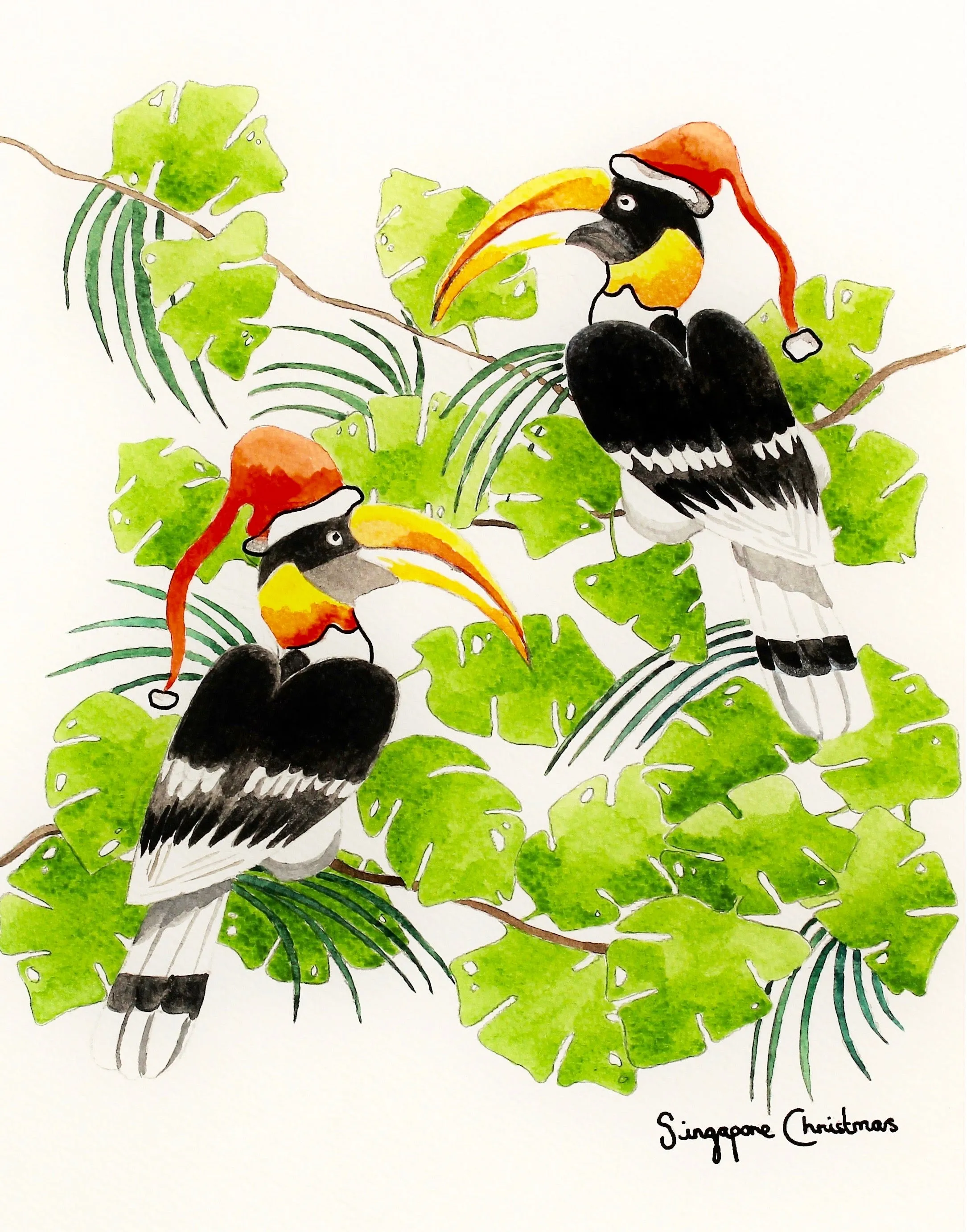 Set of 5 Hornbills Christmas cards