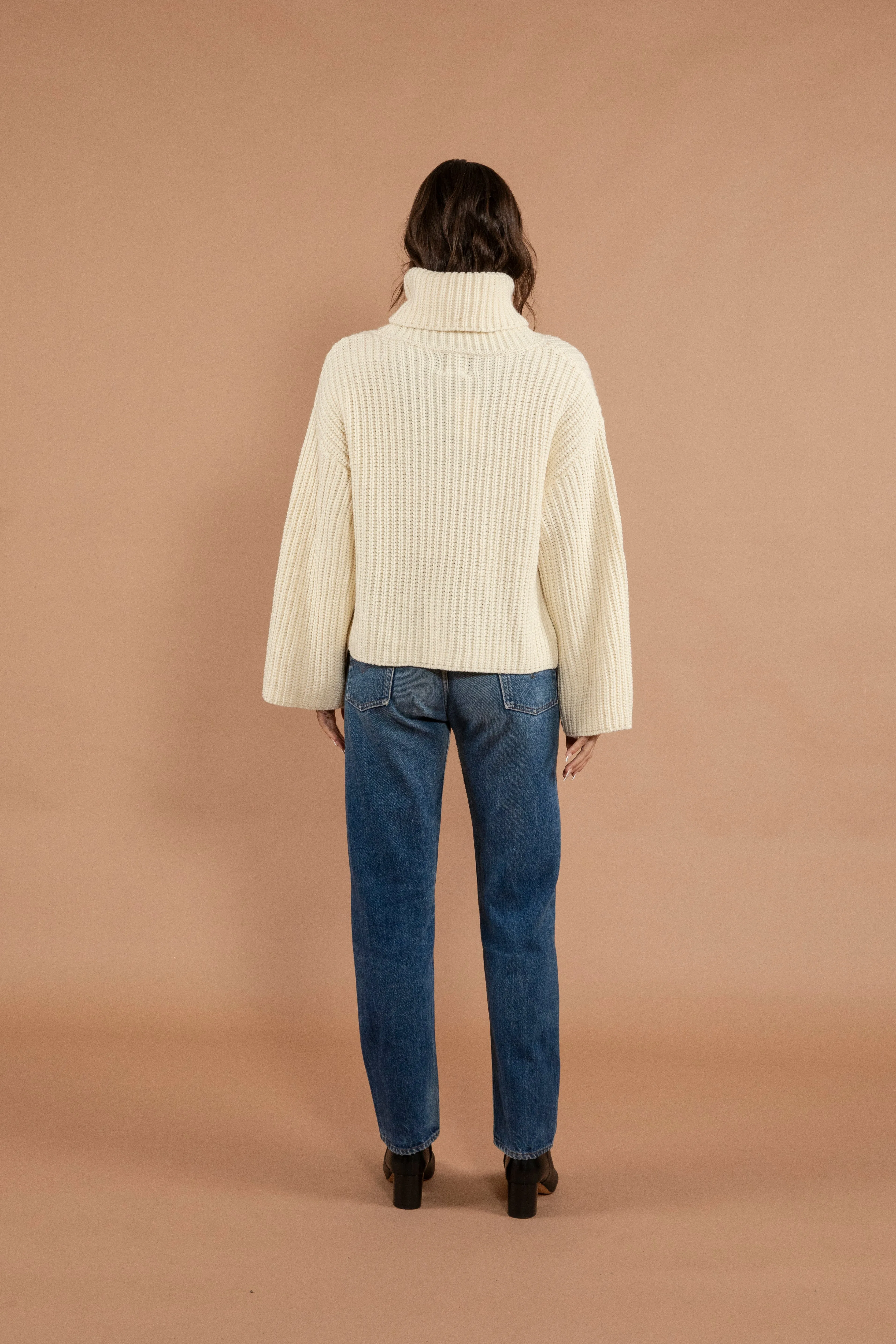 Tashi Turtleneck Sweater